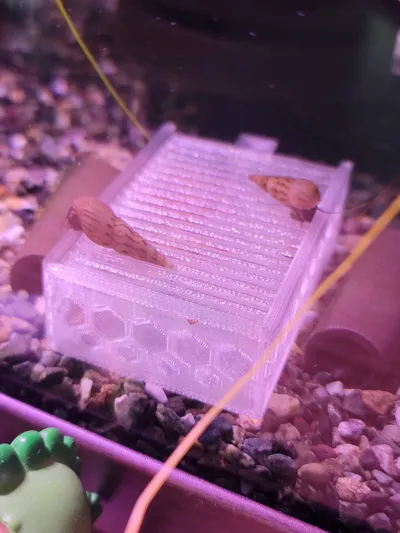https://makerworld.bblmw.com/makerworld/comment/20260325/3015183205/ad6b928e4a0b217a.jpg