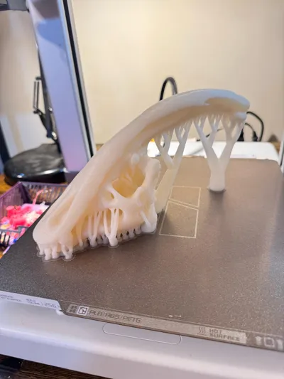 https://makerworld.bblmw.com/makerworld/comment/20260325/3040617098/77f53992ed9578d0.jpg