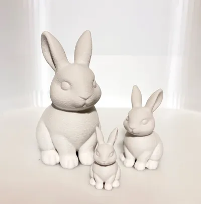 https://makerworld.bblmw.com/makerworld/comment/20260325/3121553798/7c4d6cbc5dfe2fe8.jpg