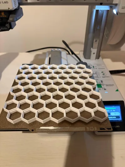 https://makerworld.bblmw.com/makerworld/comment/20260325/3332546431/75e426dc697bb829.jpg