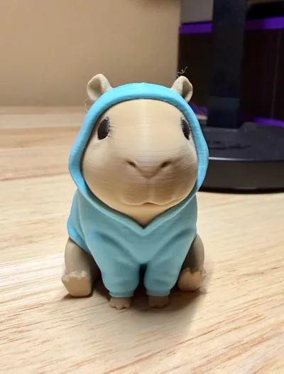 https://makerworld.bblmw.com/makerworld/comment/20260325/3338850372/b6f71bcd75c7e498.jpg