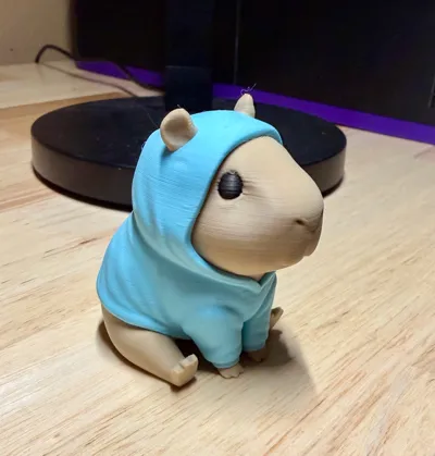 https://makerworld.bblmw.com/makerworld/comment/20260325/3338850372/c68bdf09d5967bf2.jpg
