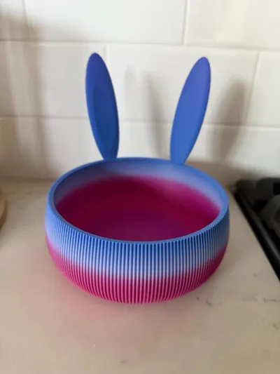 https://makerworld.bblmw.com/makerworld/comment/20260325/361051979/0091135c2377f9a8.jpg