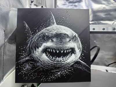 https://makerworld.bblmw.com/makerworld/comment/20260325/4032762987/60f6701fe108f3d6.jpg