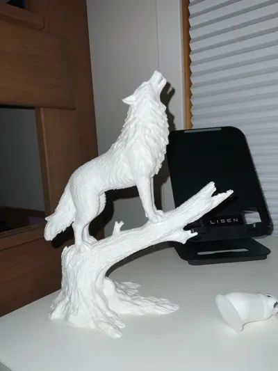 https://makerworld.bblmw.com/makerworld/comment/20260325/4200727807/755024b027dd136c.jpg