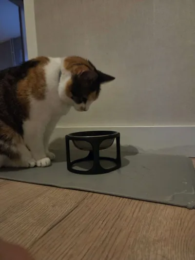 https://makerworld.bblmw.com/makerworld/comment/20260325/4230346088/c4a0158572c76e86.jpg