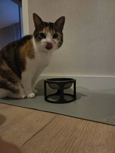 https://makerworld.bblmw.com/makerworld/comment/20260325/4230346088/d60d99f0993dedb4.jpg