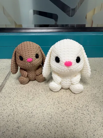 https://makerworld.bblmw.com/makerworld/comment/20260325/456666157/2d9fab84dd4aff67.jpg