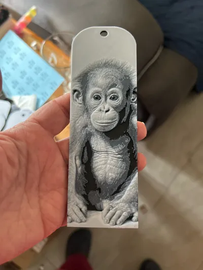 https://makerworld.bblmw.com/makerworld/comment/20260325/651084992/3713f7033477e673.jpg