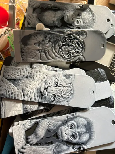 https://makerworld.bblmw.com/makerworld/comment/20260325/651084992/3cc7ffc573dba075.jpg