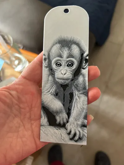 https://makerworld.bblmw.com/makerworld/comment/20260325/651084992/8b3c92ceb8c8acd8.jpg