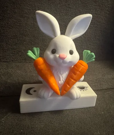 https://makerworld.bblmw.com/makerworld/comment/20260325/776881493/8dc570783576e6dd.jpg