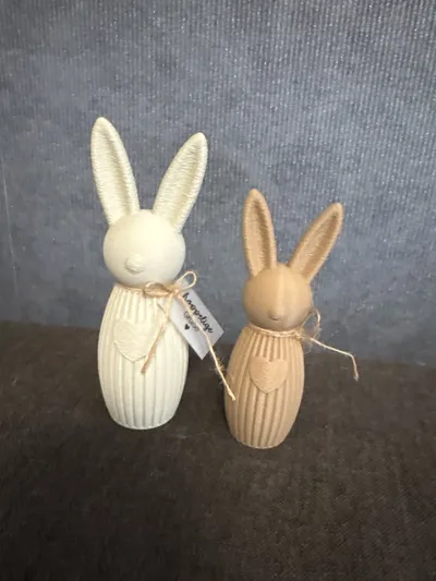 https://makerworld.bblmw.com/makerworld/comment/20260326/1050862409/995b214117991911.jpg