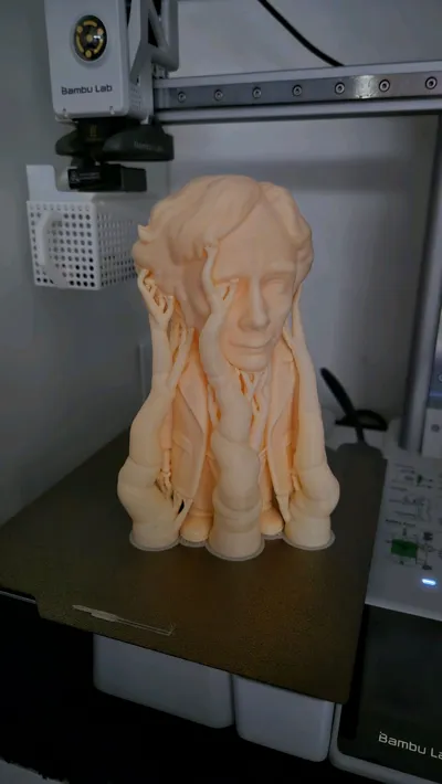 https://makerworld.bblmw.com/makerworld/comment/20260326/1133243520/122dbb58ae711fef.jpg