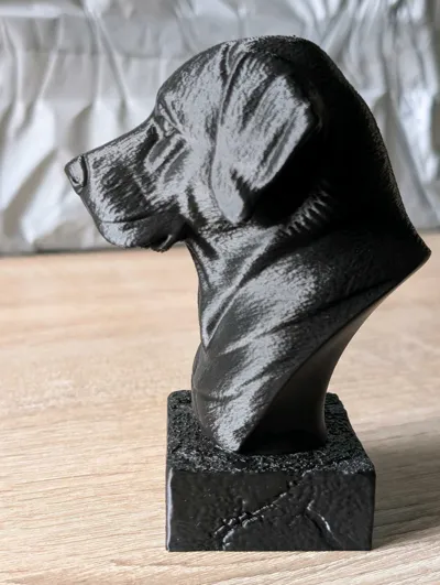 https://makerworld.bblmw.com/makerworld/comment/20260326/1490628457/ea8c4bb4a73a92e7.jpg