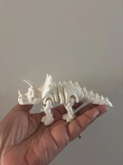 https://makerworld.bblmw.com/makerworld/comment/20260326/1659890032/f6133864194188bd.jpg