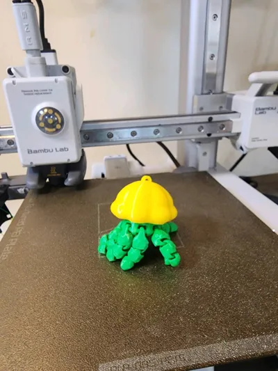 https://makerworld.bblmw.com/makerworld/comment/20260326/171436728/a026fe0c1fe00fb8.jpg