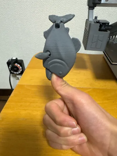 https://makerworld.bblmw.com/makerworld/comment/20260326/1969344449/1b6e123bb6a2a10c.jpg