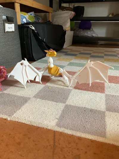https://makerworld.bblmw.com/makerworld/comment/20260326/2304176164/5b120789acc72b17.jpg