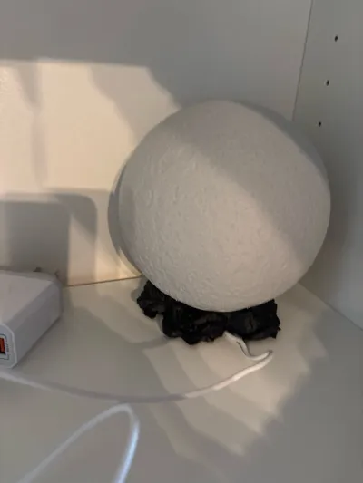 https://makerworld.bblmw.com/makerworld/comment/20260326/2905879757/8f1c6c5c2bf4bd4b.jpg