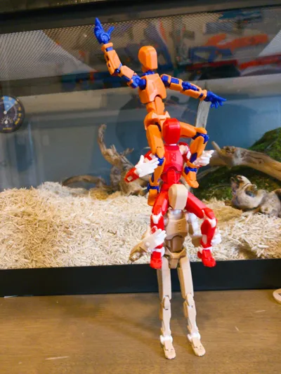 https://makerworld.bblmw.com/makerworld/comment/20260326/3301094102/dc555d4db6bf7a23.jpg