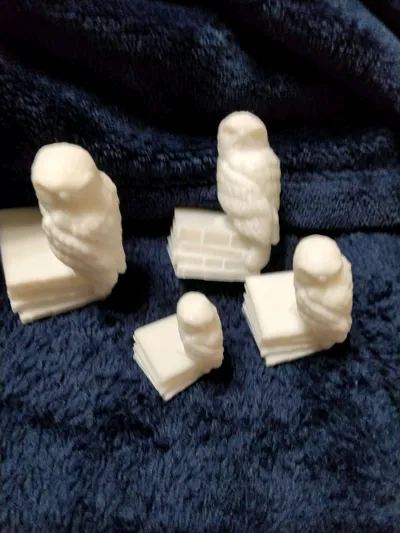 https://makerworld.bblmw.com/makerworld/comment/20260326/3502716122/a67b5363acc9550e.jpg