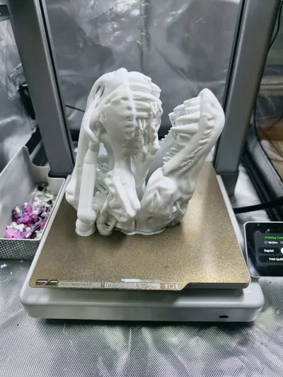 https://makerworld.bblmw.com/makerworld/comment/20260326/3503929180/feb86833566ffc7b.jpg