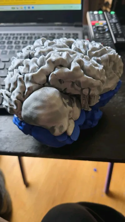 https://makerworld.bblmw.com/makerworld/comment/20260326/3697906142/15bcfc2c8fbb52e9.jpg