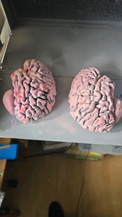 https://makerworld.bblmw.com/makerworld/comment/20260326/3697906142/783814e4c58fcaf9.jpg