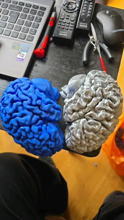 https://makerworld.bblmw.com/makerworld/comment/20260326/3697906142/897fd6342049fe15.jpg