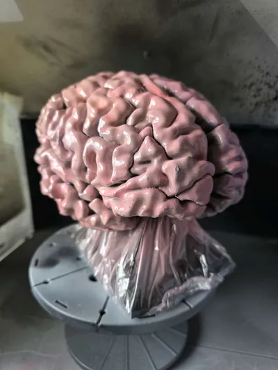 https://makerworld.bblmw.com/makerworld/comment/20260326/3697906142/d344dfa96797d583.jpg