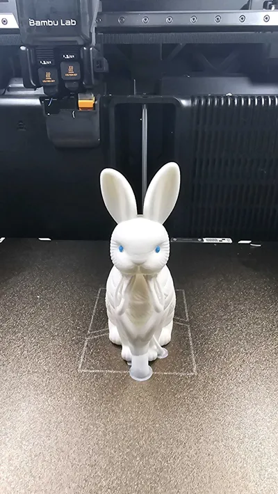 https://makerworld.bblmw.com/makerworld/comment/20260326/3813161664/a730ccfd29b2d711.jpg