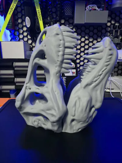 https://makerworld.bblmw.com/makerworld/comment/20260326/4220773516/40e9d6587b58df70.jpg