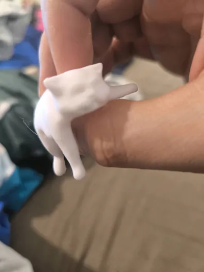 https://makerworld.bblmw.com/makerworld/comment/20260326/4224809436/a3068ba0cbe3aac7.jpg