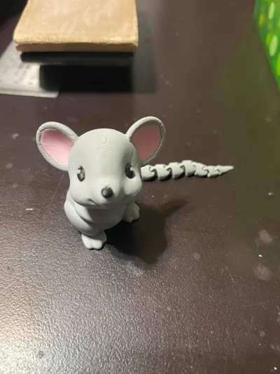 https://makerworld.bblmw.com/makerworld/comment/20260326/4286174234/3ce4235ca8cfc6b7.jpg