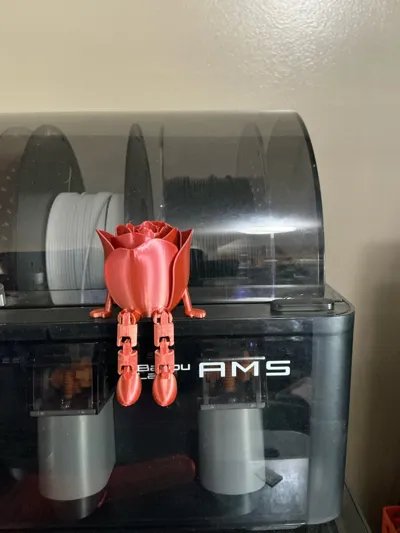 https://makerworld.bblmw.com/makerworld/comment/20260326/487858207/0c0ac15411065485.jpg