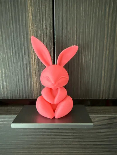 https://makerworld.bblmw.com/makerworld/comment/20260326/986766716/877ed07876bb49fb.jpg