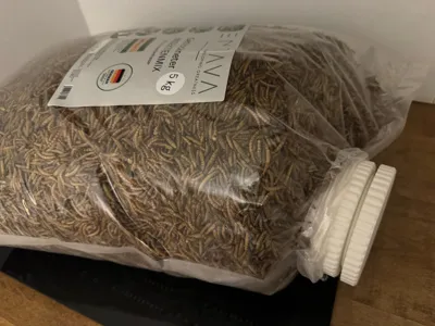 https://makerworld.bblmw.com/makerworld/comment/20260327/2194749626/d37cc550b6836f95.jpg