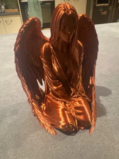 https://makerworld.bblmw.com/makerworld/comment/20260327/2782089683/fcf3f26d24f362d0.jpg