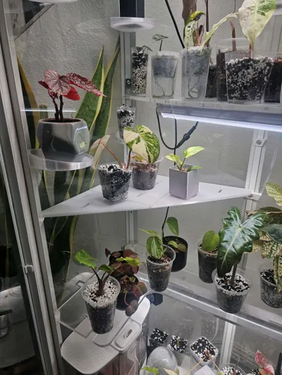 https://makerworld.bblmw.com/makerworld/comment/20260327/2923365639/5520510bc4777dfd.jpg