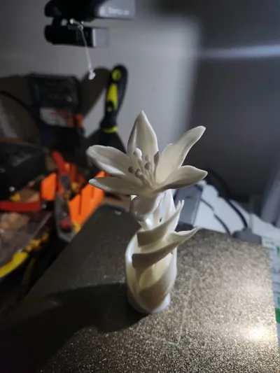https://makerworld.bblmw.com/makerworld/comment/20260327/2966584529/24fa99ff18d695e2.jpg