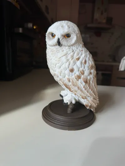 https://makerworld.bblmw.com/makerworld/comment/20260327/2982080420/b9c57cff36b5396b.jpg