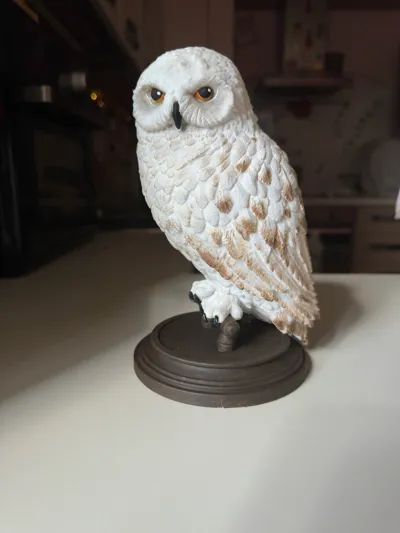 https://makerworld.bblmw.com/makerworld/comment/20260327/2982080420/c879f9ebd3eefe9a.jpg