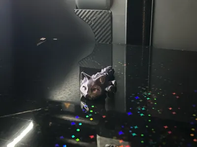 https://makerworld.bblmw.com/makerworld/comment/20260327/3475435851/caa1daca492a43ab.jpg