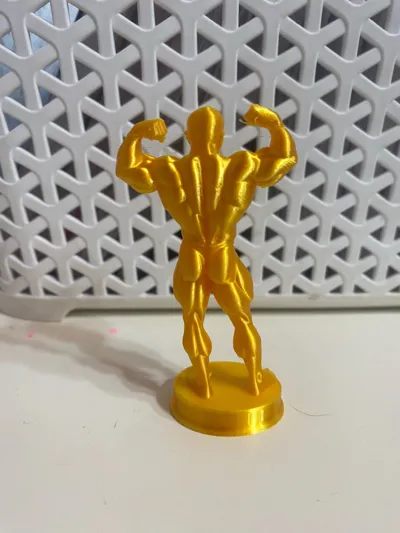 https://makerworld.bblmw.com/makerworld/comment/20260327/3723756654/3d08c20616591a9a.jpg