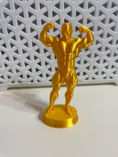 https://makerworld.bblmw.com/makerworld/comment/20260327/3723756654/f12581d569bef12f.jpg