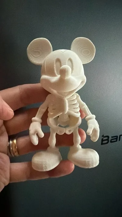 https://makerworld.bblmw.com/makerworld/comment/20260328/2456850991/c89b0edc16a6762a.jpg