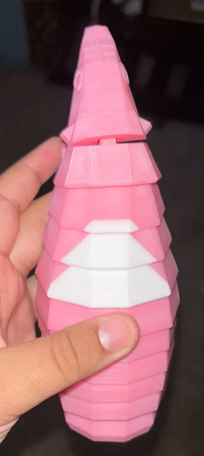 https://makerworld.bblmw.com/makerworld/comment/20260328/2717408582/ffa58de3e4918f10.jpg