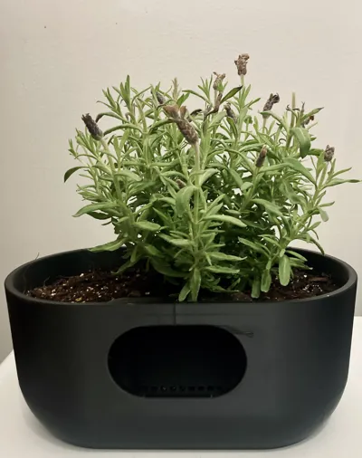 https://makerworld.bblmw.com/makerworld/comment/20260328/3630246899/ad22c03153c5cb39.jpeg