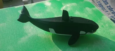 https://makerworld.bblmw.com/makerworld/comment/20260328/3790117035/95be60da4469fed8.jpg